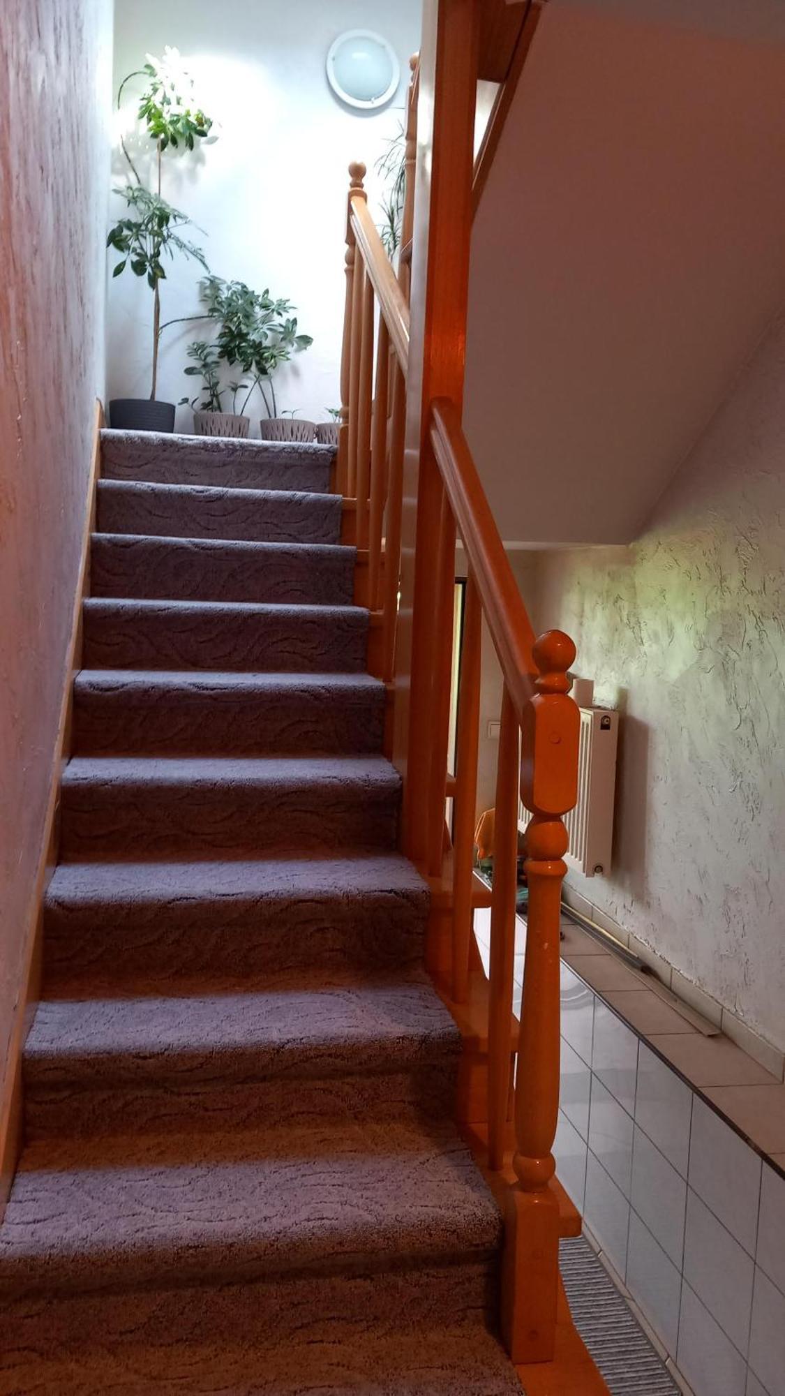 Zielone Zacisze Apartman Zagnansk Kültér fotó