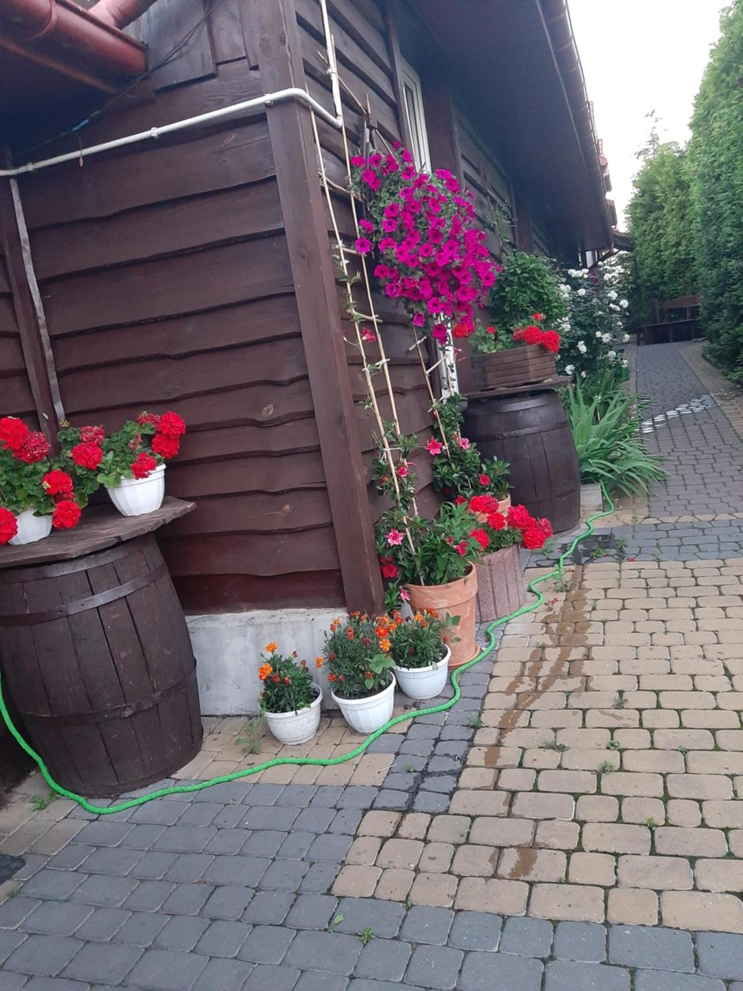 Zielone Zacisze Apartman Zagnansk Kültér fotó
