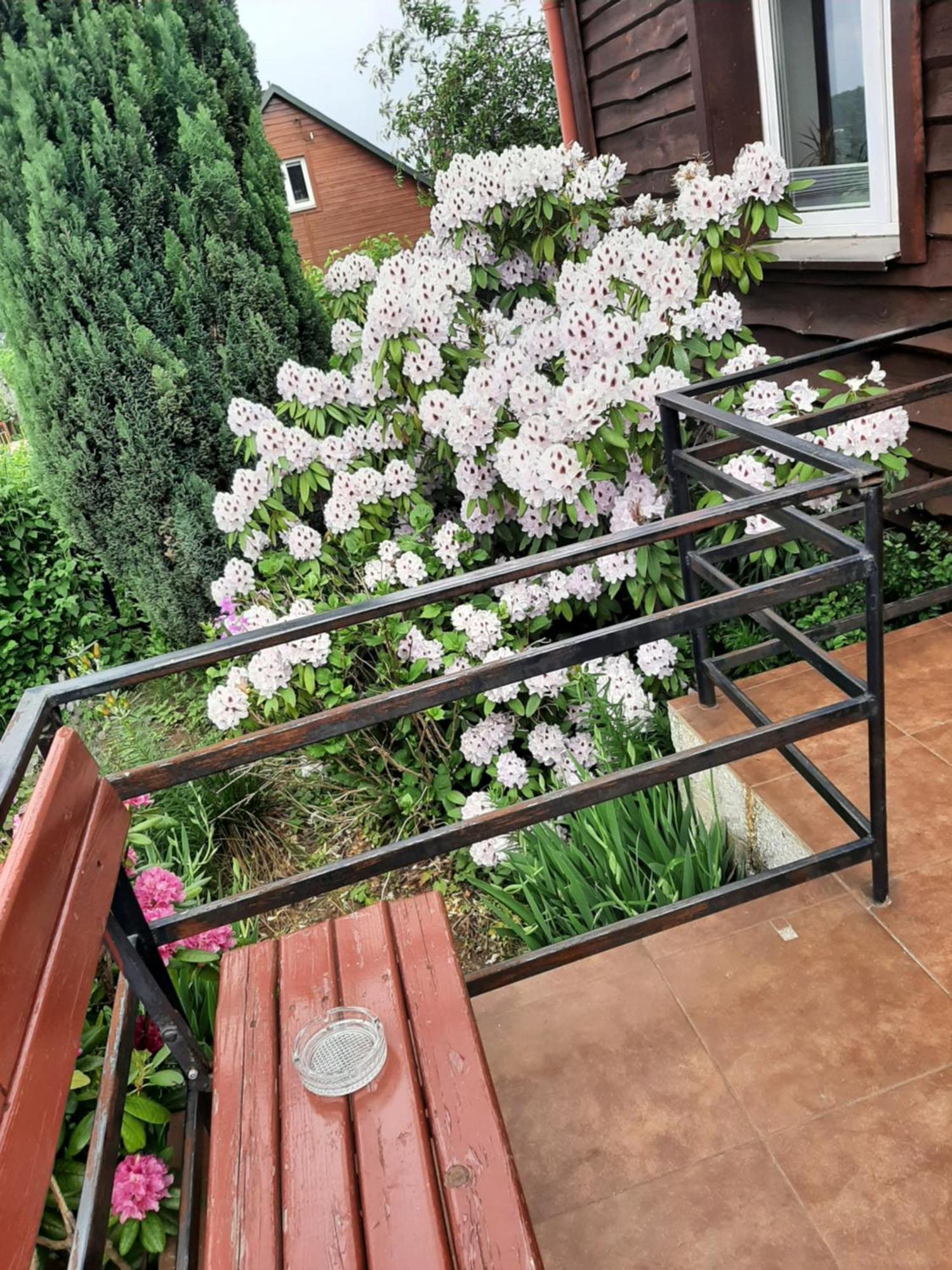 Zielone Zacisze Apartman Zagnansk Kültér fotó